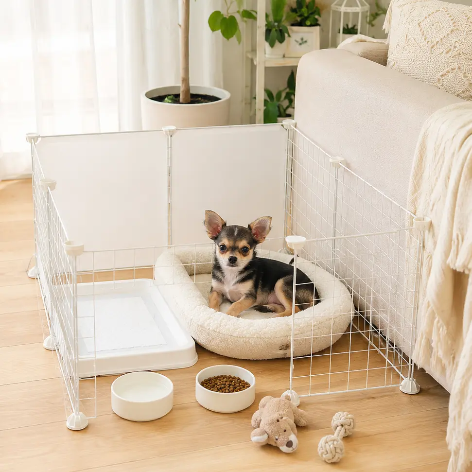 すいーとどっぐ:子犬を迎える準備:当店から4つのお願いイメージ画像