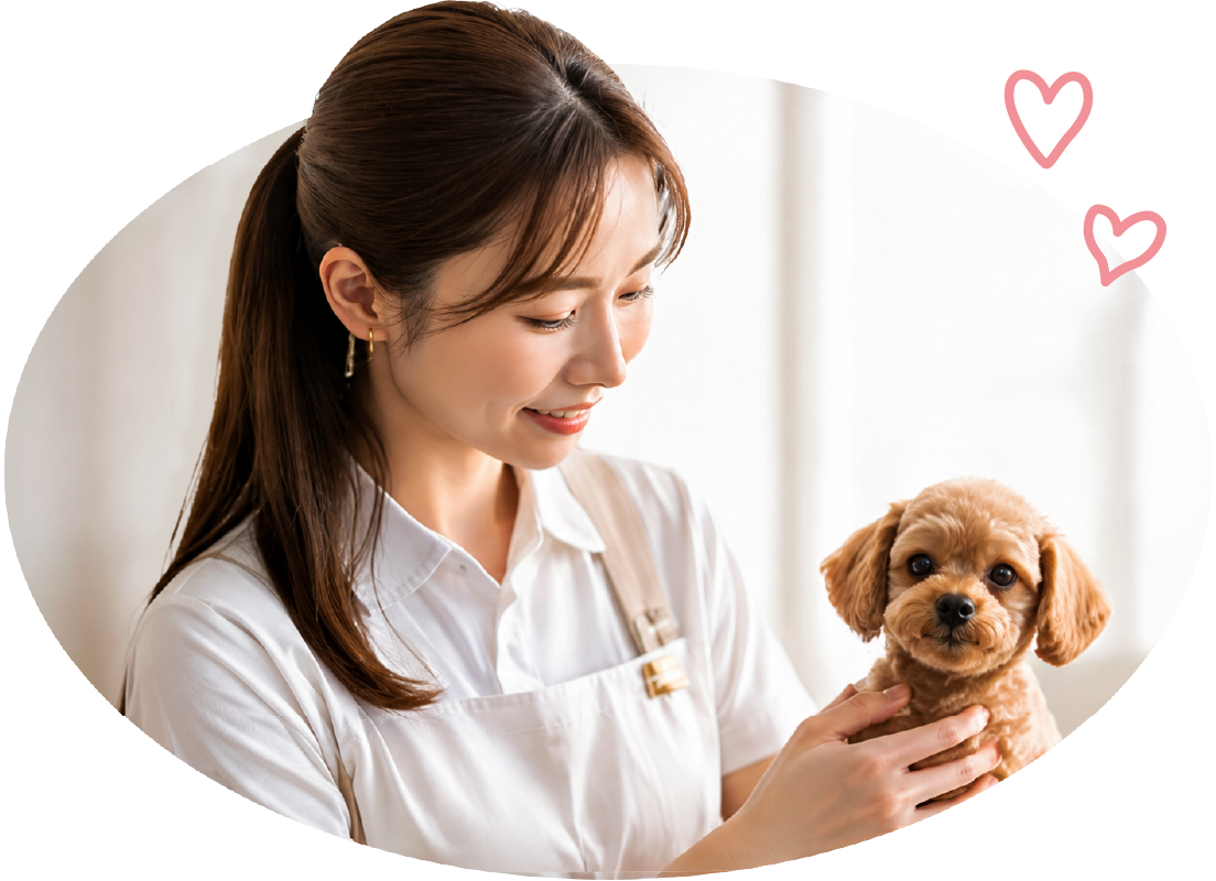 犬と飼い主様の暮らしに寄り添うトータルサポート施設
